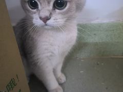 -云味馆·云南菜·云南米线(沙井华润店)