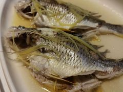 -花城苑广府菜(侨鑫店)