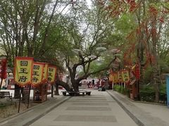 -哈密回王府景区