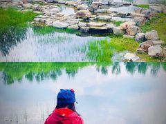 -东郊湿地公园