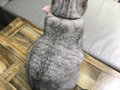 -小时光咖啡馆(开森度假森林店)