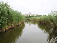 景点-白渔泡湿地公园