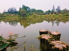 -桤木河湿地公园