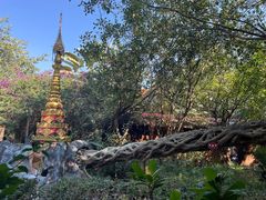 -瑞丽独树成林风景区