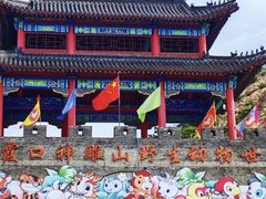 -西霞口神雕山野生动物世界