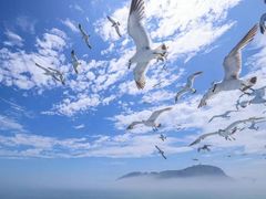 -海驴岛(荣成市)