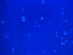 -福州罗源湾海洋世界旅游区