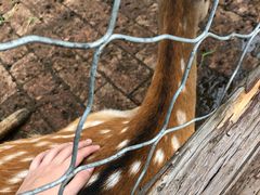 -静之湖湖畔餐厅