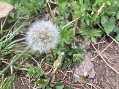 -白草畔自然风景区