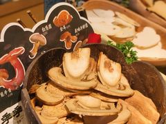 -季季山•云南野生菌火锅(上海首店)