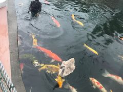 -湖鲜楼
