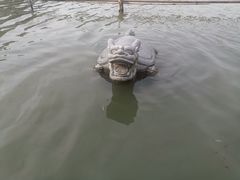 -昆山城市生态森林公园