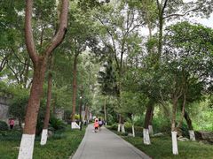 -桂湖森林公园