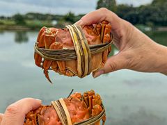 -水岸居湖景农家乐·阳澄湖大闸蟹