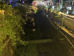 -阿巧茶庄