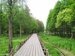 -大莲湖农家乐(青西郊野公园店)