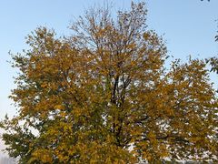 -盘龙城国家考古遗址公园