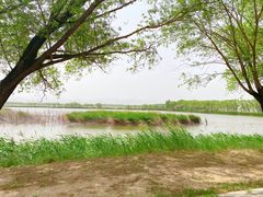 -野鸭湖国家湿地公园