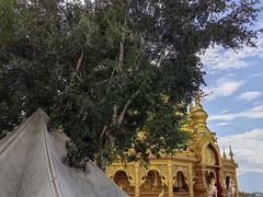 -西双版纳勐泐文化旅游区