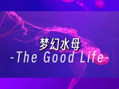 -左海海底世界