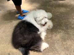 -TrueLove @ Neverland (Husky Cafe)
