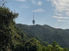 -梧桐山风景名胜区