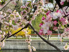 -海棠花溪(元大都城垣遗址公园)