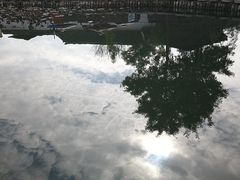 -茯茶镇