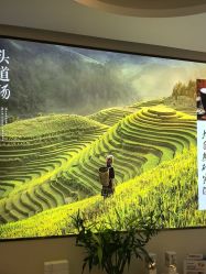 -头道汤头疗养生馆