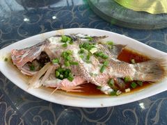 -七鲜渔港美食餐厅(巽寮湾海景店)