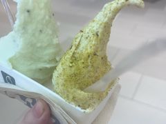 -野人先生现做冰淇淋(北京环宇荟店)