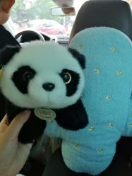 -嗨翻Hi-Fun竞技主题乐园·蹦床团建生日聚会(五棵松华熙店)