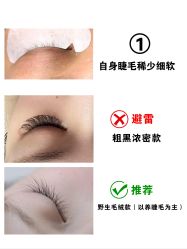 -丽尔美睫