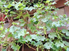 -伏牛地下河景区