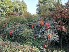 -西安汉城湖景区