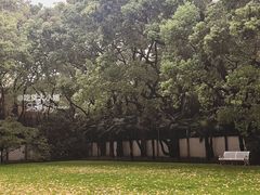 -上海宋庆龄故居纪念馆
