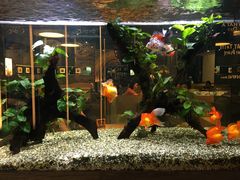 -大家乐(广州荔湾领展广场店)