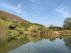 -金钉子远古世界景区