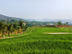 -牙胡梯田