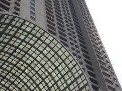 -新加坡丽思卡尔顿美年酒店
