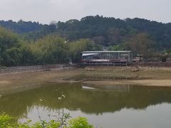 -芦仙山景区-飞越丛林探险乐园