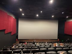 -万达影城(锦华万达广场IMAX店)