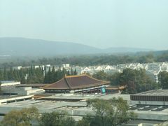 -南京维景国际大酒店(南京博物院店)