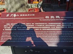 -少华山国家森林公园