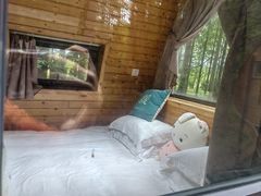 -黄海国家森林公园