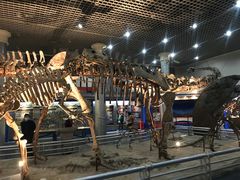 -国家自然博物馆