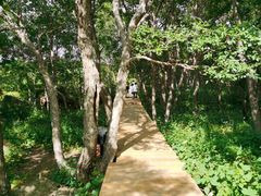 -白草畔自然风景区