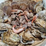 吃货日记：今天尝鲜生蚝