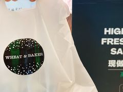 核桃布里欧修-WHEAT&BAKER-麥(凯德来福士店)