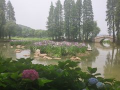 -欣旺·迎宾楼·百年无锡菜